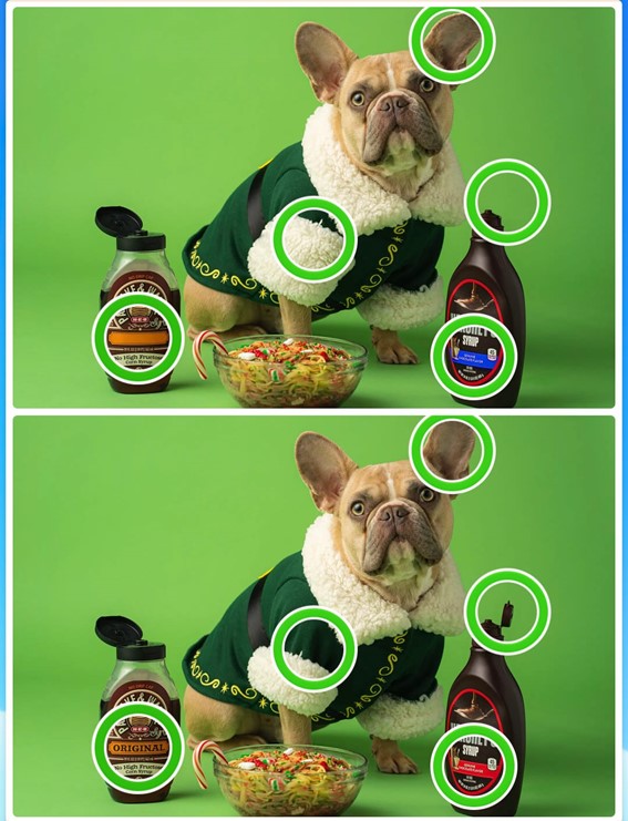 imagens do cachorro imagens do cachorro
