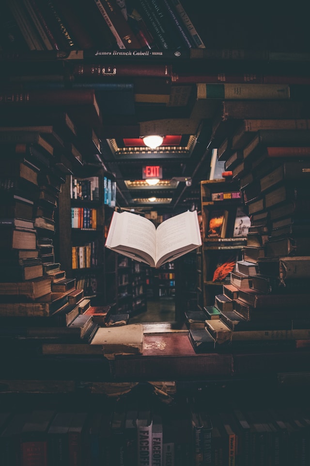 jaredd craig HHWBGNyltc unsplash