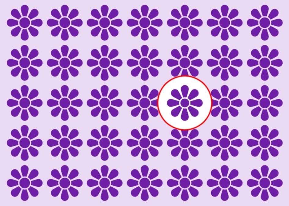 resposta de onde esta a flor diferente Resposta de onde está a flor diferente. Fonte: Jagran Josh.