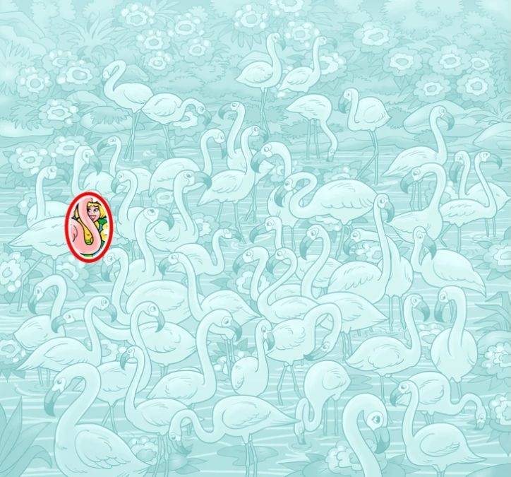resposta de onde esta a menina entre os flamingos Resposta de onde está a menina entre os flamingos.