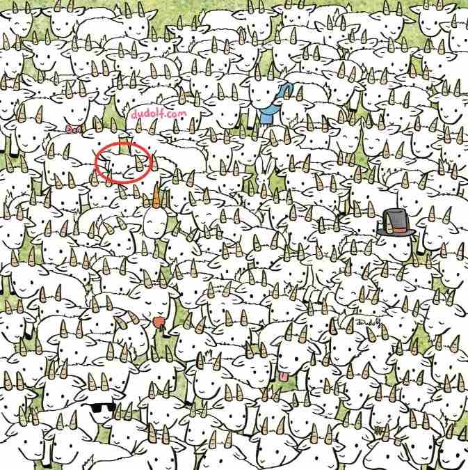 resposta de onde esta a ovelha Resposta de onde está a ovelha entre as cabras.
