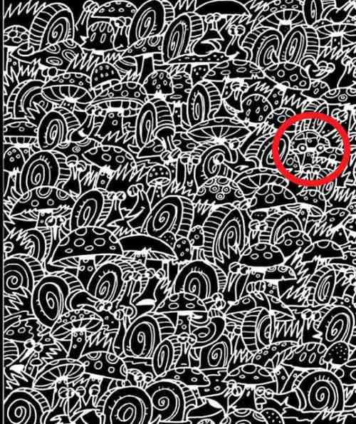 resposta de onde esta o carro neste desafio Resposta de onde está o carro neste desafio.