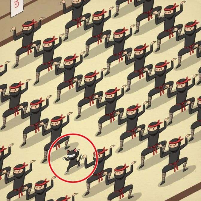resposta de onde esta o gato entre os ninjas Resposta de onde está o gato entre os ninjas.