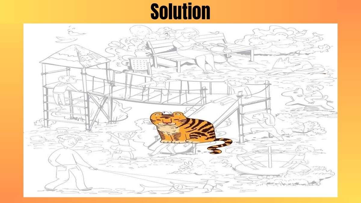 resposta de onde esta o tigre no desafio Resposta de onde está o tigre no desafio.