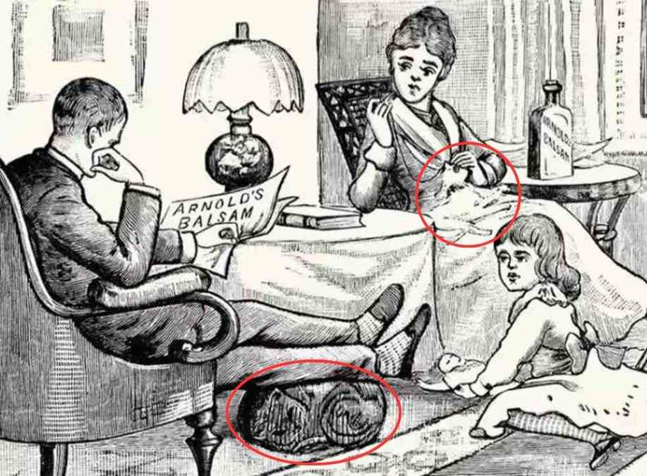resposta de onde estao os dois gatos Resposta de onde estão os dois gatos.