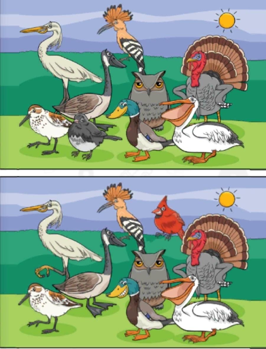 Jogo dos quatro erros dos animais Jogo dos quatro erros dos animais