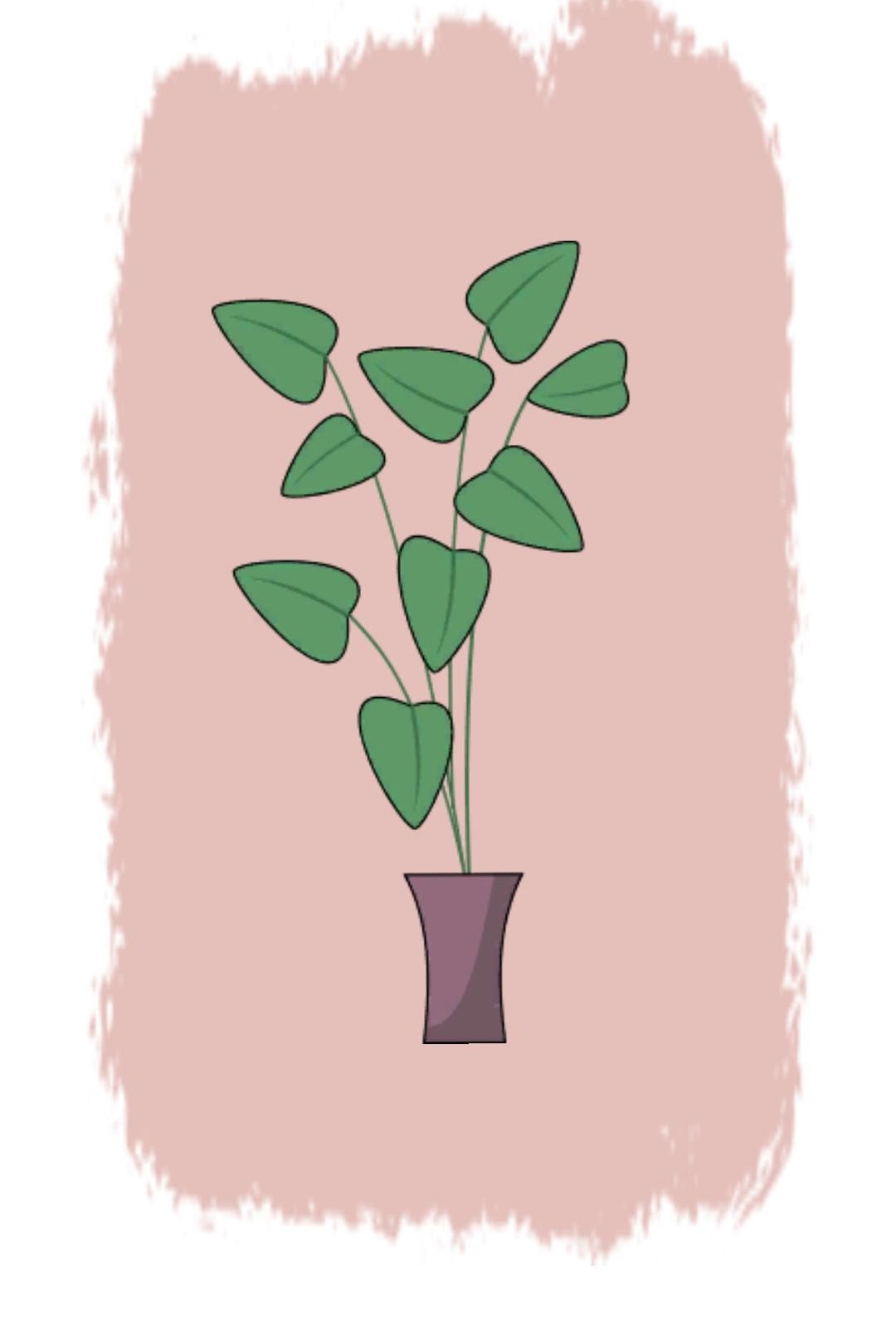 Teste de concentração da planta Teste de concentração da planta