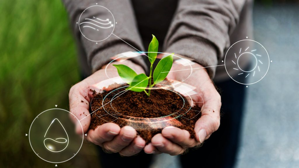 O agronegócio é uma das áreas que mais crescem no Brasil. O agronegócio é uma das áreas que mais crescem no Brasil.