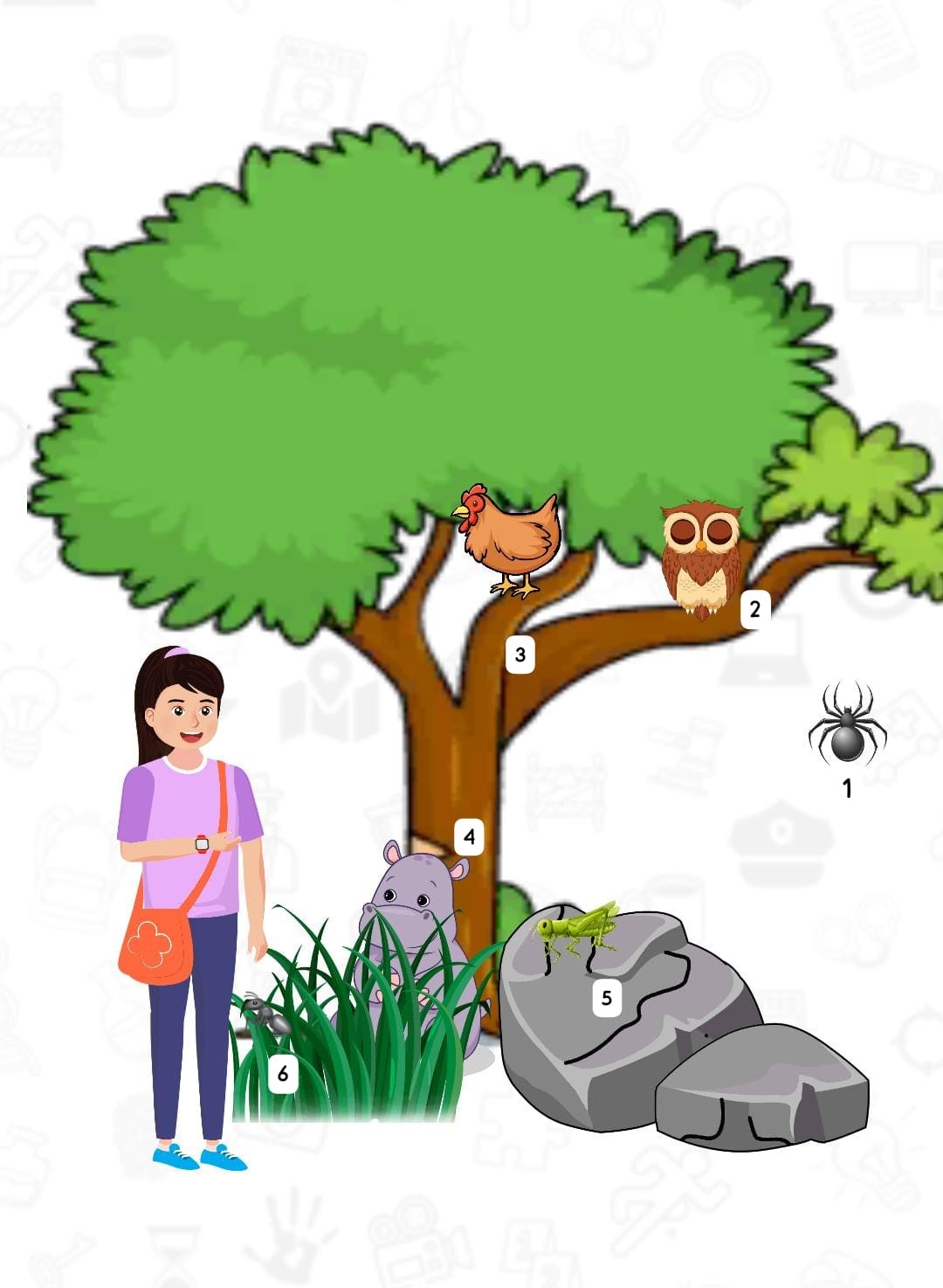 Resultado do Teste de agilidade visual dos animais Resultado do Teste de agilidade visual dos animais