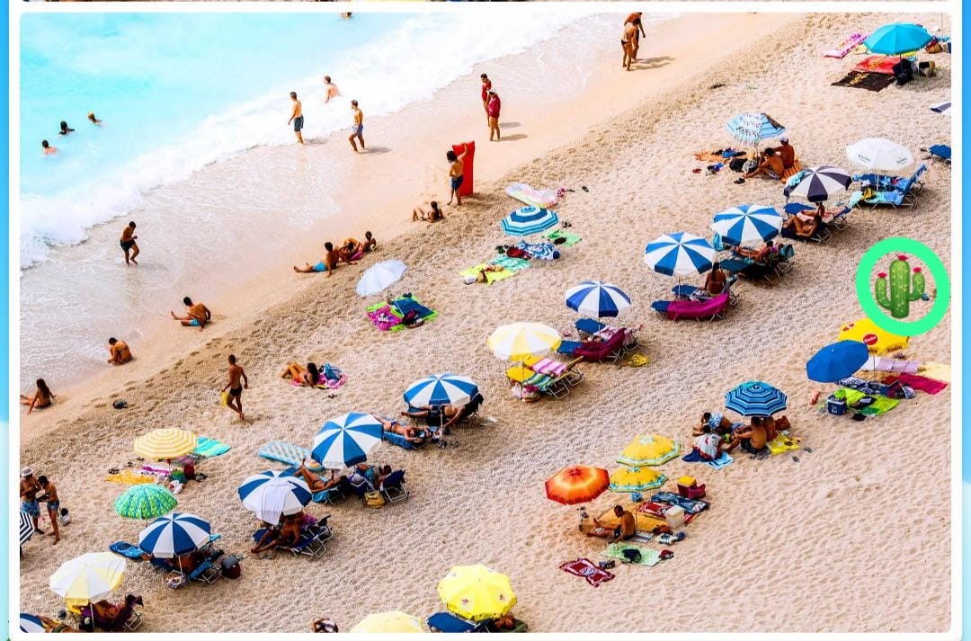 Resultado do Teste de lógica na praia Resultado do Teste de lógica na praia