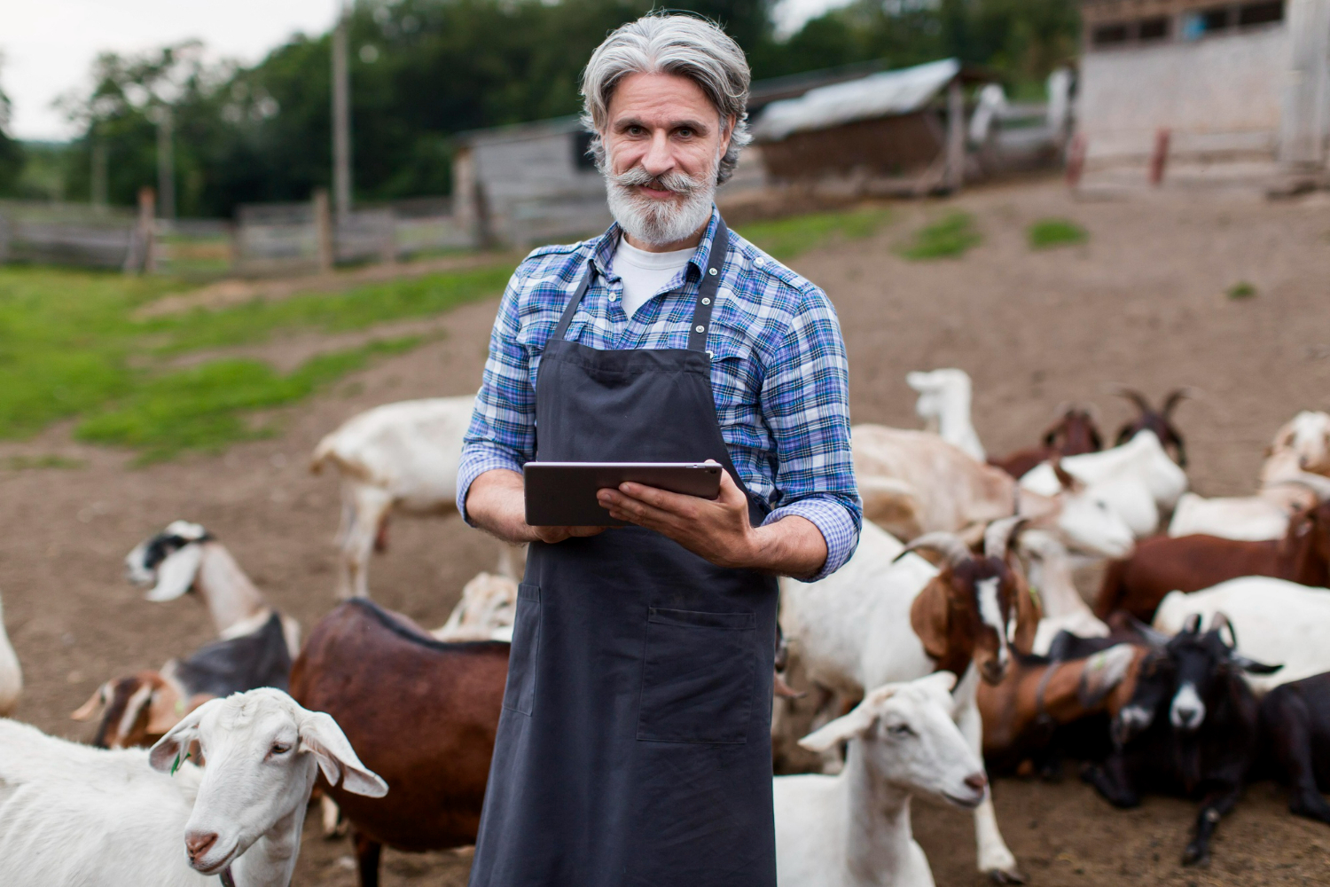 Gerente de agropecuária é uma das profissões que exige apenas ensino médio e que possui um excelente salário.
