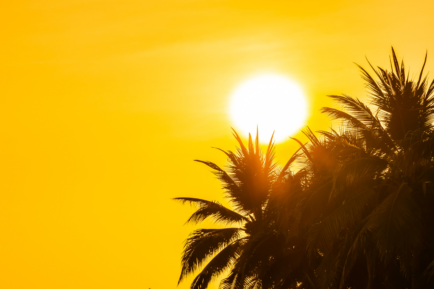 Calorão ou calorzão?
