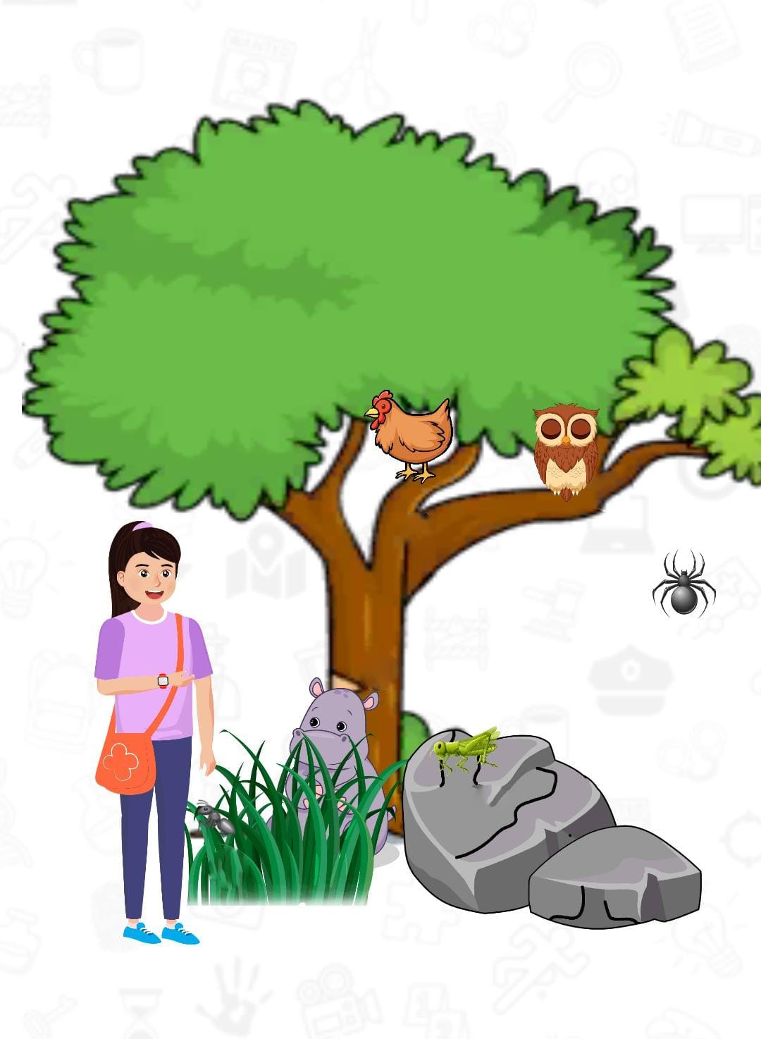 Teste de agilidade visual dos animais Teste de agilidade visual dos animais