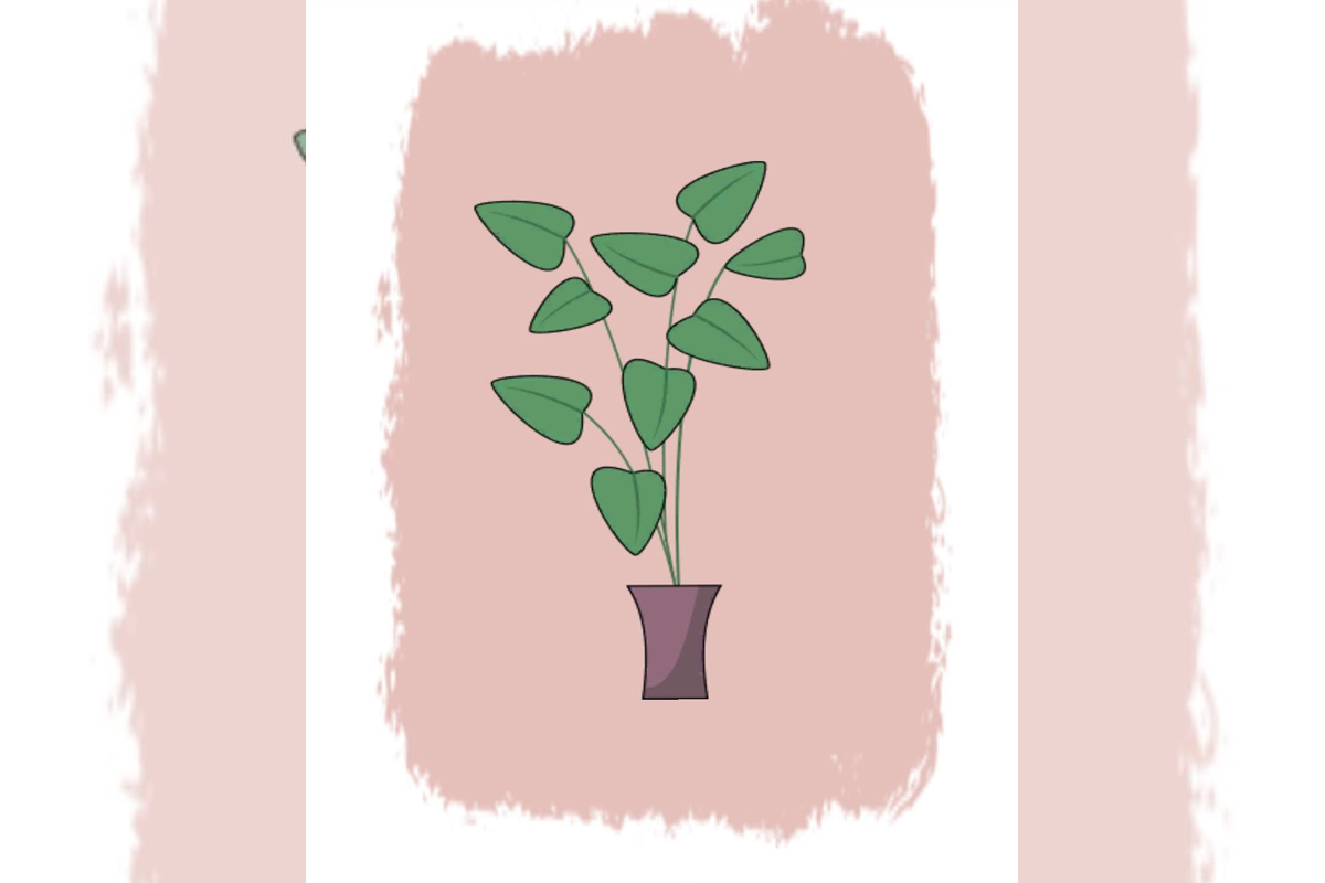 Confira o Teste de concentração da planta