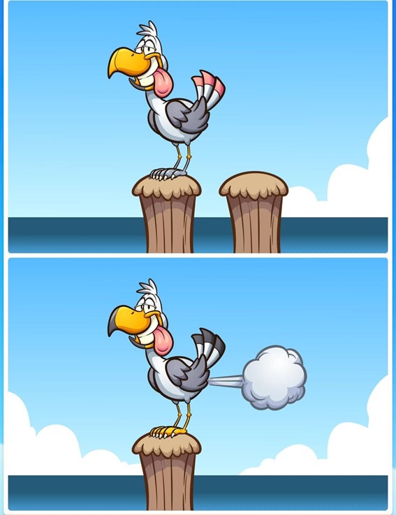 Jogo das diferenças do pássaro: encontre seis erros entre as imagens do pássaro em menos de 10 segundos Desafio do jogo das diferenças do pássaro