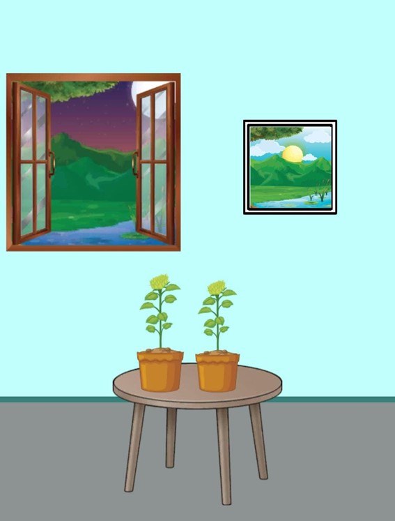 Teste de QI diferente: o que fazer para as flores desabrocharem em 10 segundos Desafio do Teste de QI diferente