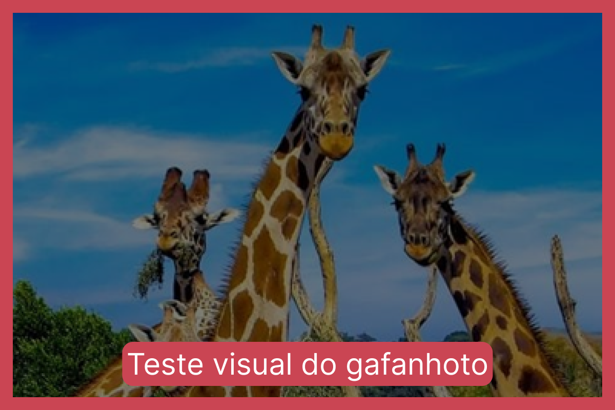 IMAGEM app Find the differences