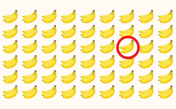 Teste de concentração da banana: encontre a banana diferente em menos de 10 segundos Resultado do Teste de concentração da banana