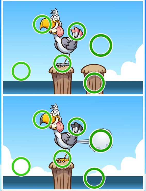 Jogo das diferenças do pássaro: encontre seis erros entre as imagens do pássaro em menos de 10 segundos Resultado do Jogo das diferenças do pássaro