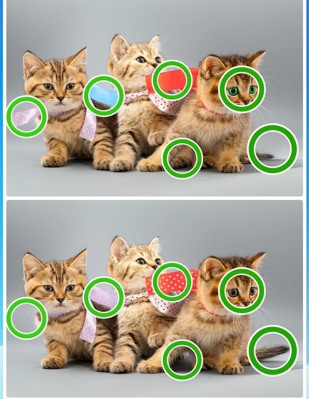 Jogo dos seis erros dos gatos: encontre seis diferenças entre as imagens em menos de 10 segundos Resultado do Jogo dos seis erros dos gatos
