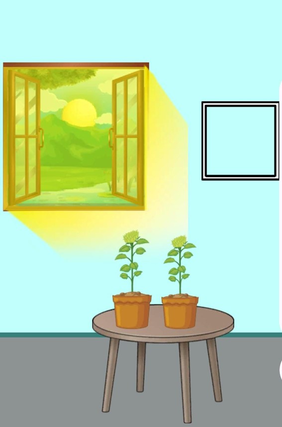 Teste de QI diferente: faça as flores desabrocharem em 10 segundos Resultado do Teste de QI diferente