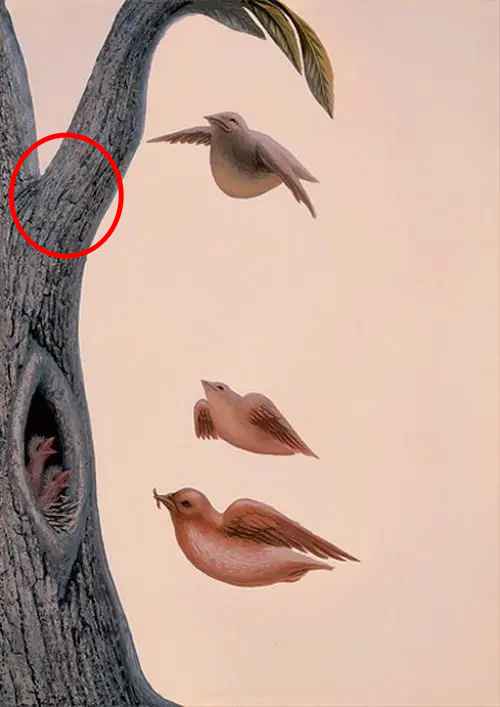 Ilusão de Ótica: o que você vê primeiro? Ilusão de Ótica: o que você vê primeiro?