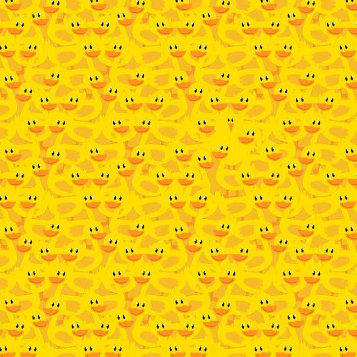 desafio visual encontre o pintinho Desafio visual - encontre o pintinho na imagem. Fonte: Brightside.com.