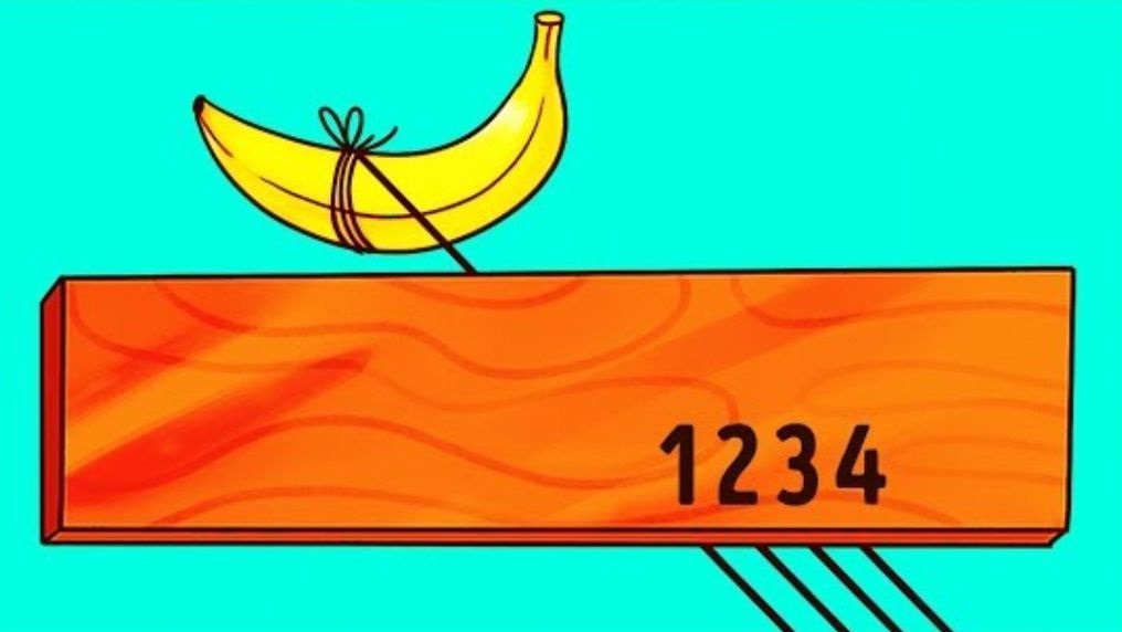 descubra qual corda esta amarrada a banana Descubra qual corda está amarrada a banana. Fonte: Jagran Josh.