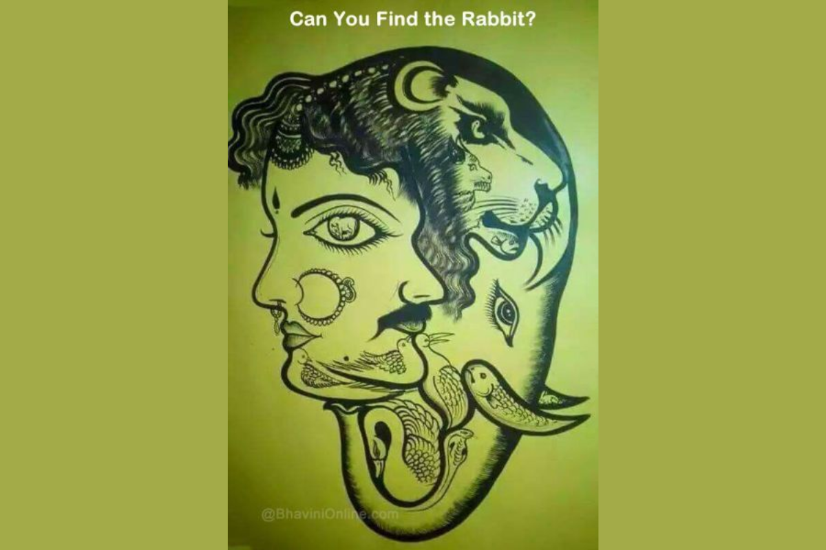 Ilusão de ótica - encontre o coelho na imagem. Fonte: Jagran Josh.