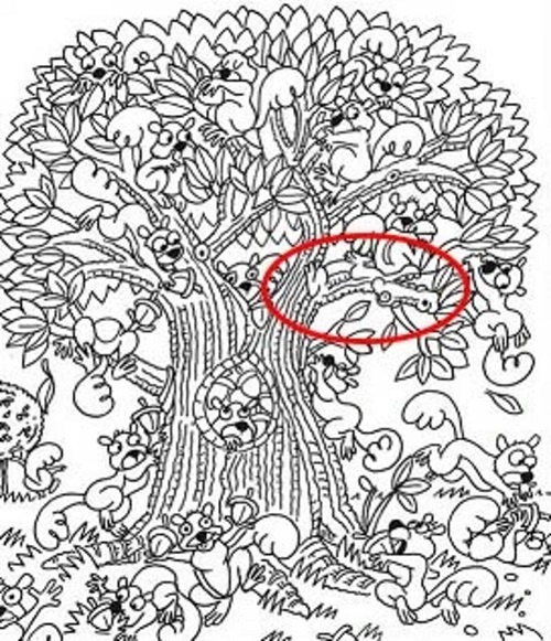 Ilusão de Ótica: Será que você consegue encontrar um Jacaré escondido? Ilusão de Ótica: Será que você consegue encontrar um Jacaré escondido?