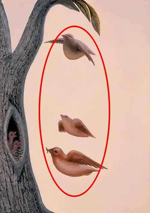 Ilusão de Ótica: o que você vê primeiro? Ilusão de Ótica: o que você vê primeiro?