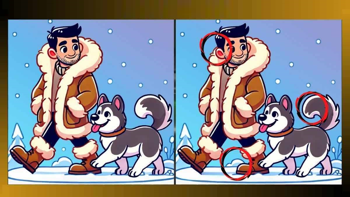 Desafio Visual: encontre 3 diferenças em 10 segundos do passeio na neve Desafio Visual: encontre 3 diferenças em 10 segundos do passeio na neve