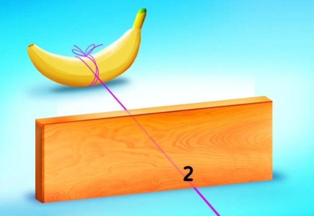 resposta de qual corda esta amarrada a banana Resposta de qual corda está amarrada à banana. Fonte: Jagran Josh.
