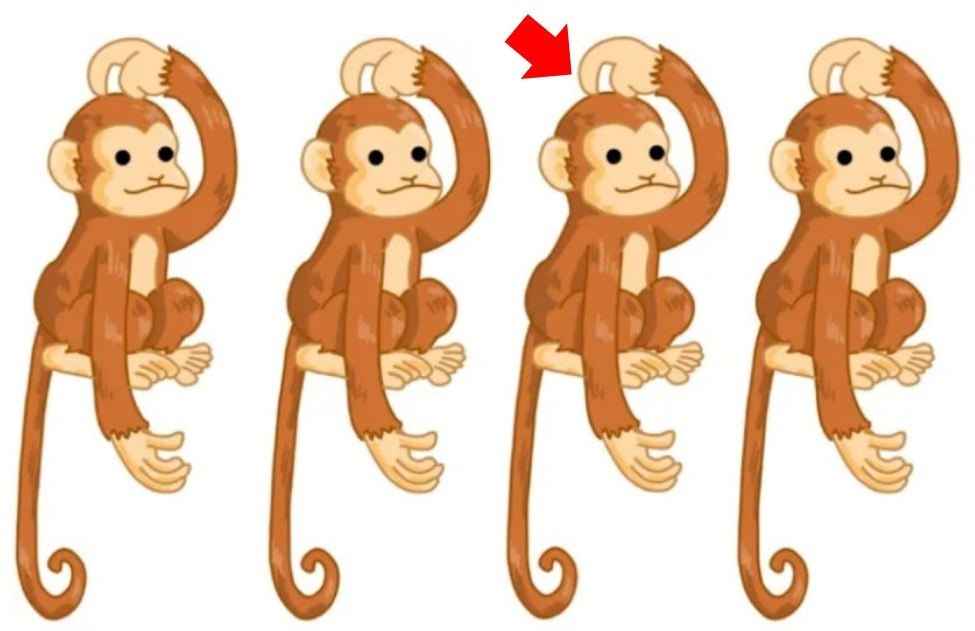 resposta de qual macaco diferente Resposta de qual macaco é diferente. Fonte: Jagran Josh.