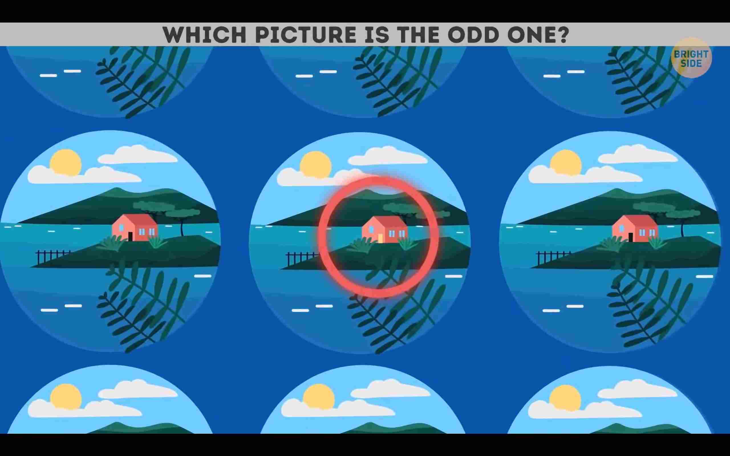 resposta do desafio veja qual a diferenca Resposta do desafio veja qual a diferença na imagem. Fonte: BrightSide.