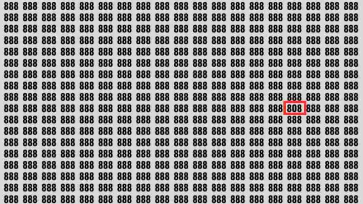 resposta do desafio visual veja onde esta o numero Resposta do desafio visual veja onde está o número 808. Fonte: Jagran Josh.