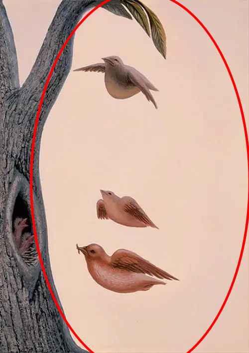 Ilusão de Ótica: o que você vê primeiro? Ilusão de Ótica: o que você vê primeiro?