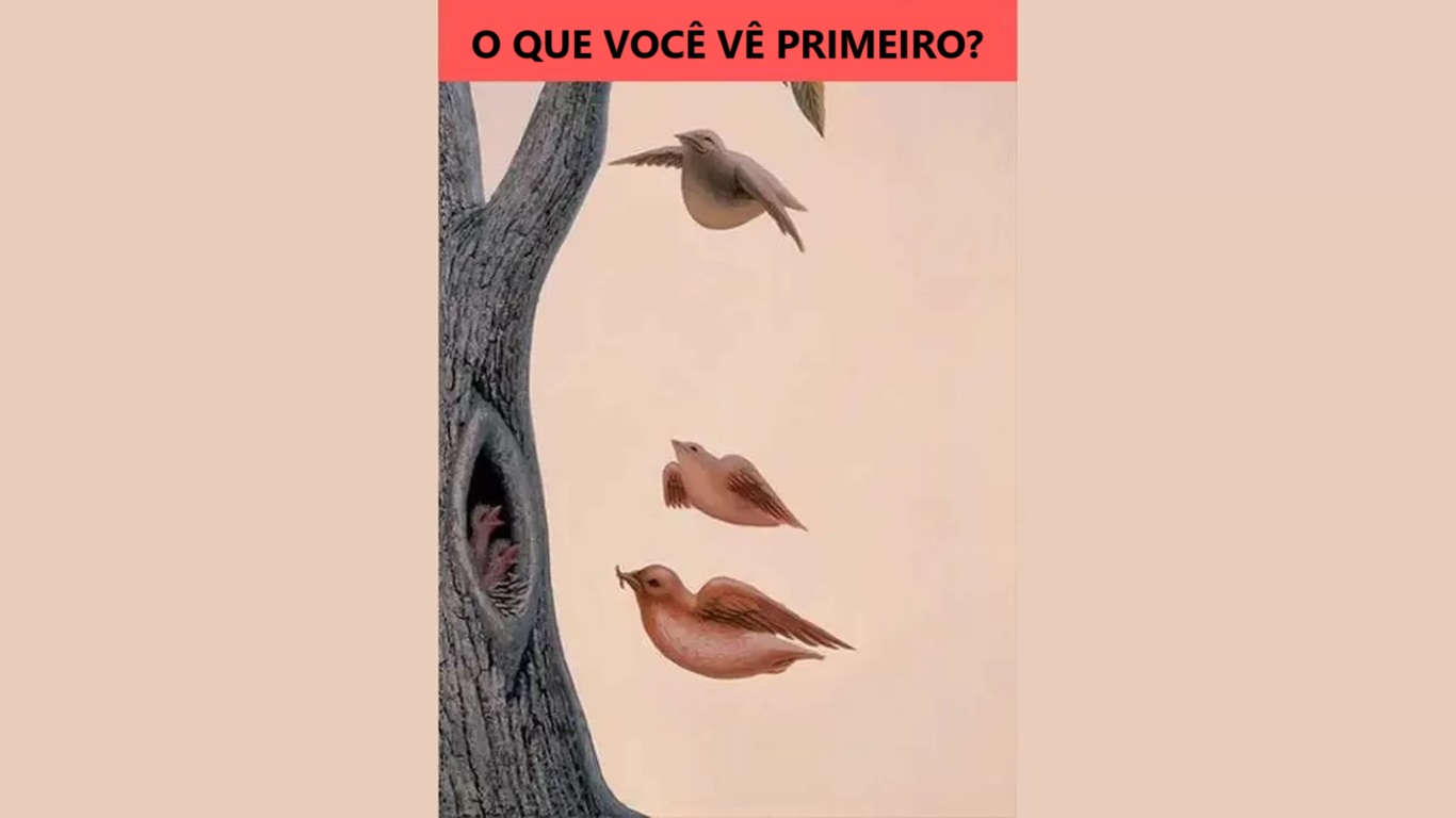 Ilusão de Ótica: o que você vê primeiro?