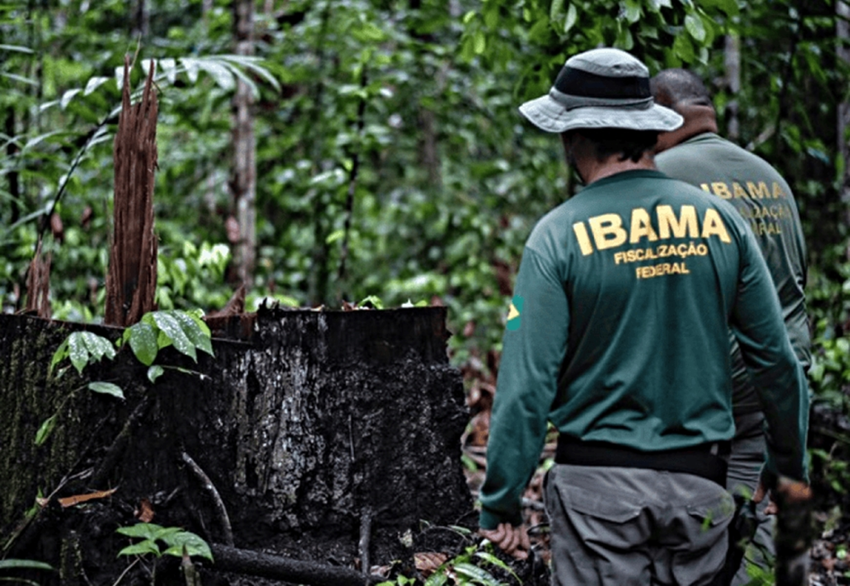 Processo Seletivo do IBAMA.