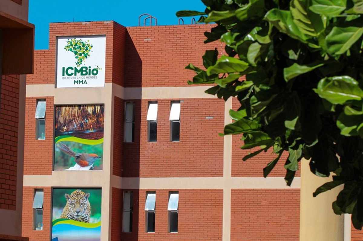 O concurso ICMBio oferecerá um total de 350 vagas, distribuídas entre os cargos de Analista Administrativo e Analista Ambiental. Portal Gov. Br