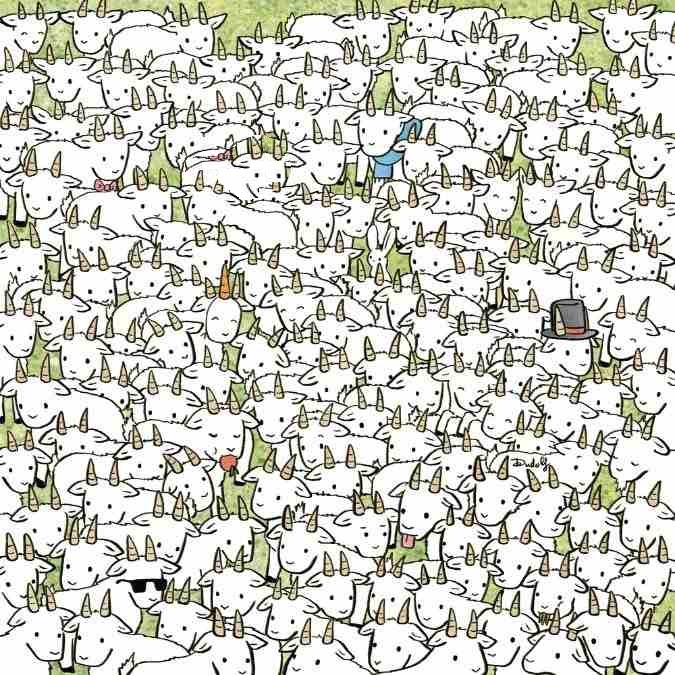 Teste de QI: será que você consegue encontrar a ovelha entre as cabras? Teste de QI: será que você consegue encontrar a ovelha entre as cabras?