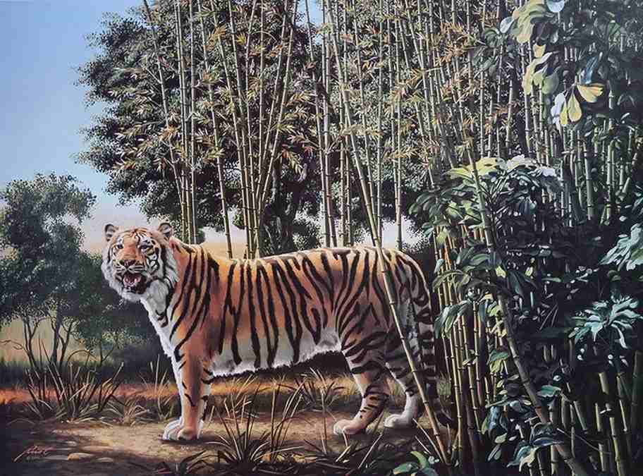 desafio visual do tigre escondido Desafio visual do tigre. Fonte: Jagran Josh.
