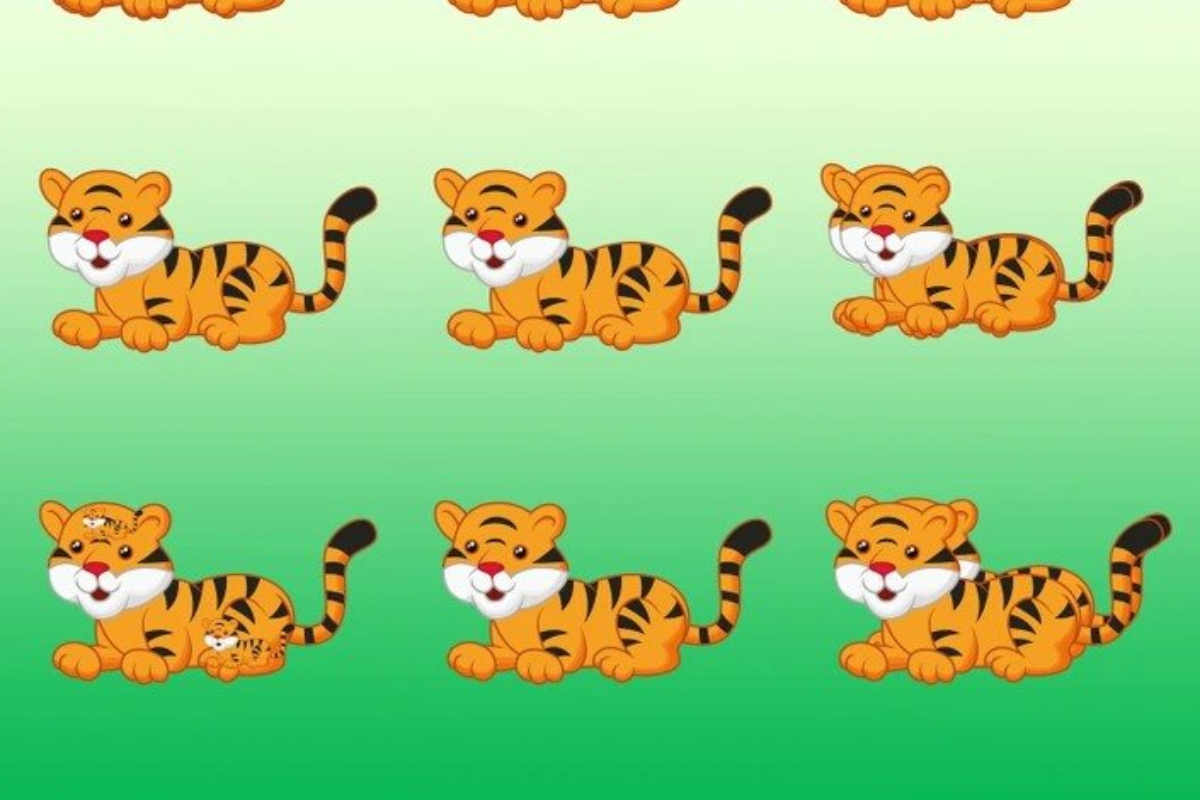 Desafio visual dos tigres na imagem. Fonte: Jagran Josh.