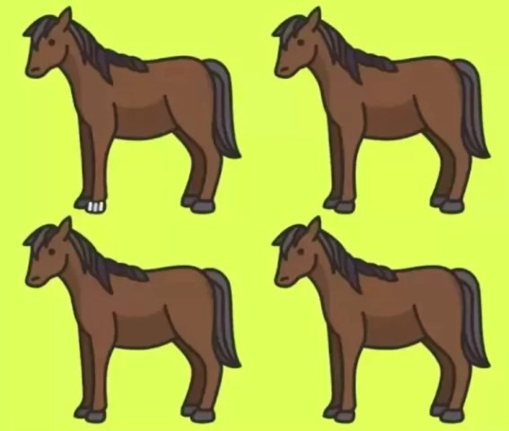 desafio visual encontre o cavalo diferente Desafio visual - encontre o cavalo diferente. Fonte: Jagran Josh.
