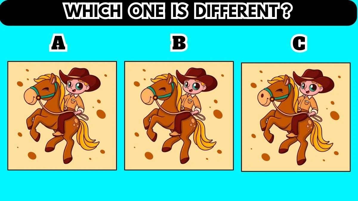 desafio visual qual imagem e diferente Desafio visual - qual imagem é diferente? Fonte: Jagran Josh.