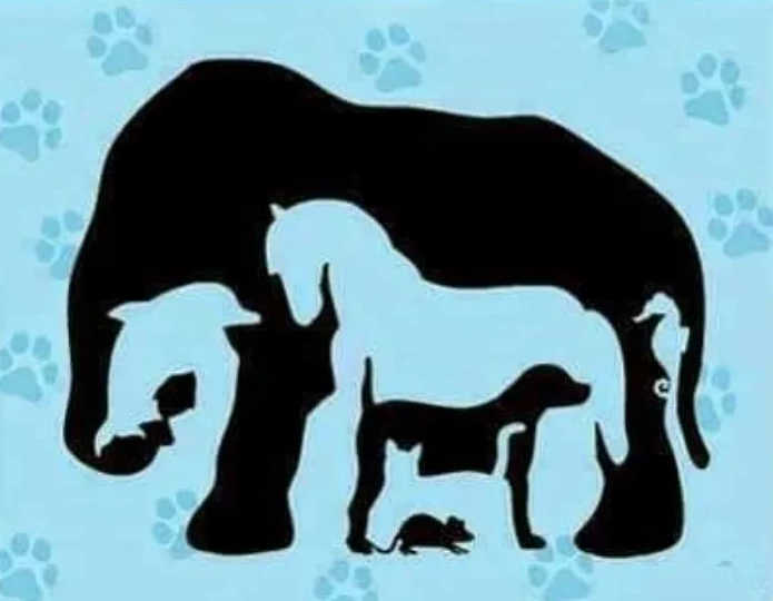 desafio visual quantos animais tem na imagem Desafio visual - quantos animais tem na imagem? Fonte: Jagran Josh.