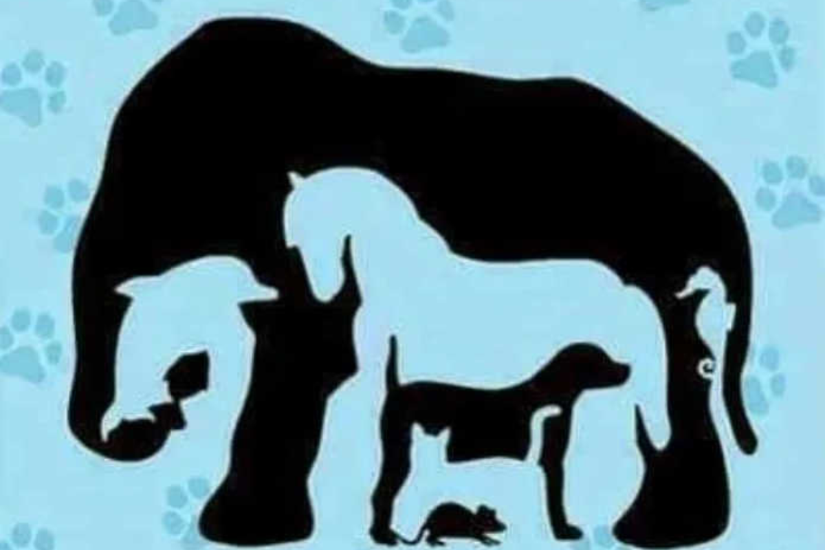 Desafio visual - quantos animais tem na imagem? Fonte: Jagran Josh.