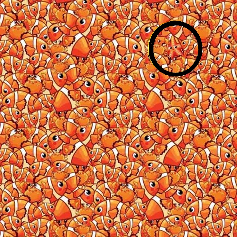 Teste de QI: será que você consegue encontrar a estrela-do-mar? Teste de QI: será que você consegue encontrar a estrela-do-mar?