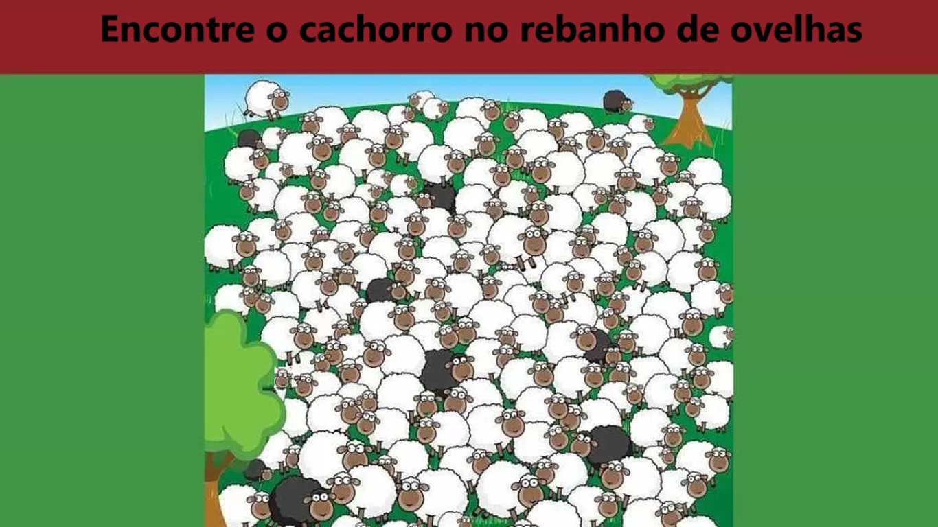 Raciocínio Lógico: encontre o cachorro no rebanho de ovelhas
