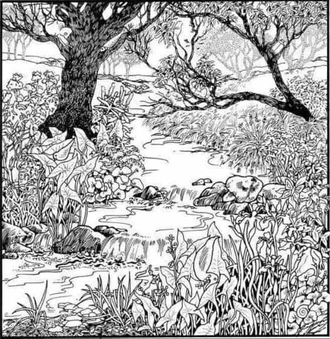 Teste de QI: será que você consegue encontrar o rosto nesta floresta em 15 segundos? Teste de QI: será que você consegue encontrar o rosto nesta floresta em 15 segundos?